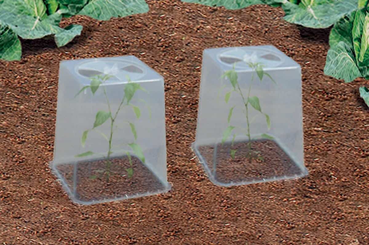 Pottedrivhus - Passer bl.a til QuadGrow potterne