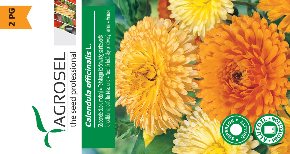 Morgenfrue - Calendula Officinalis