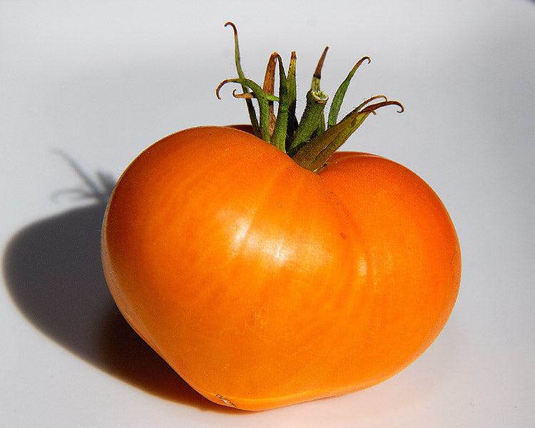 German Orange Strawberry
