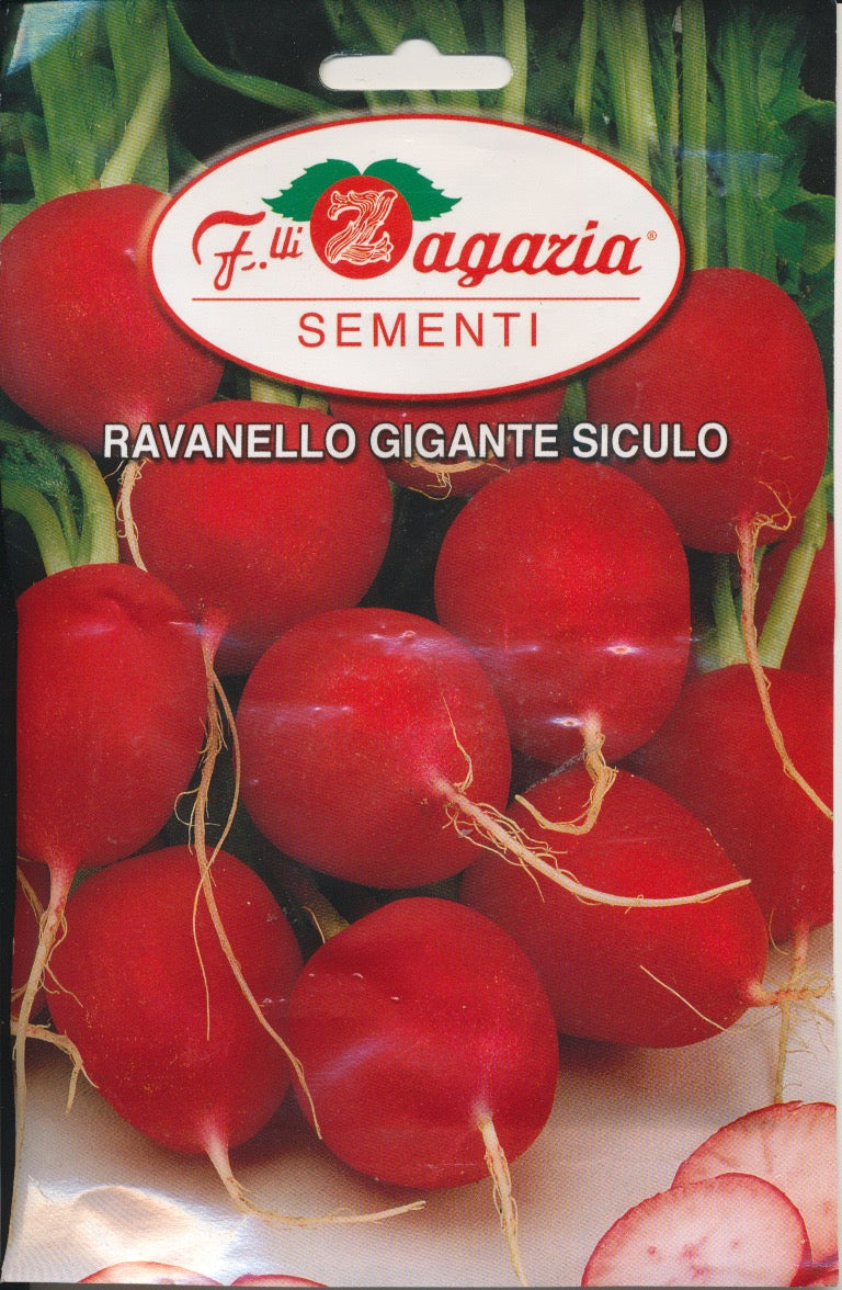 Radis - Gigante Siculo