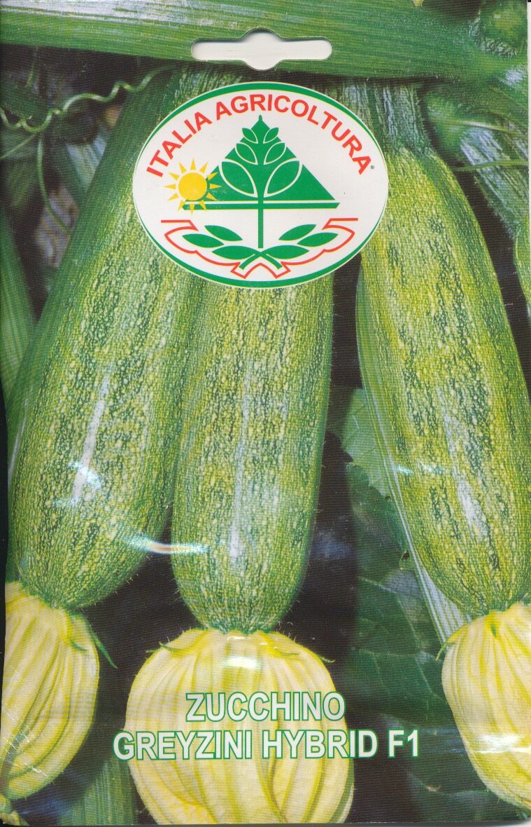Squash - Greyzini Hybrid F1