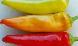 Hungarian Yellow Wax - Sweet