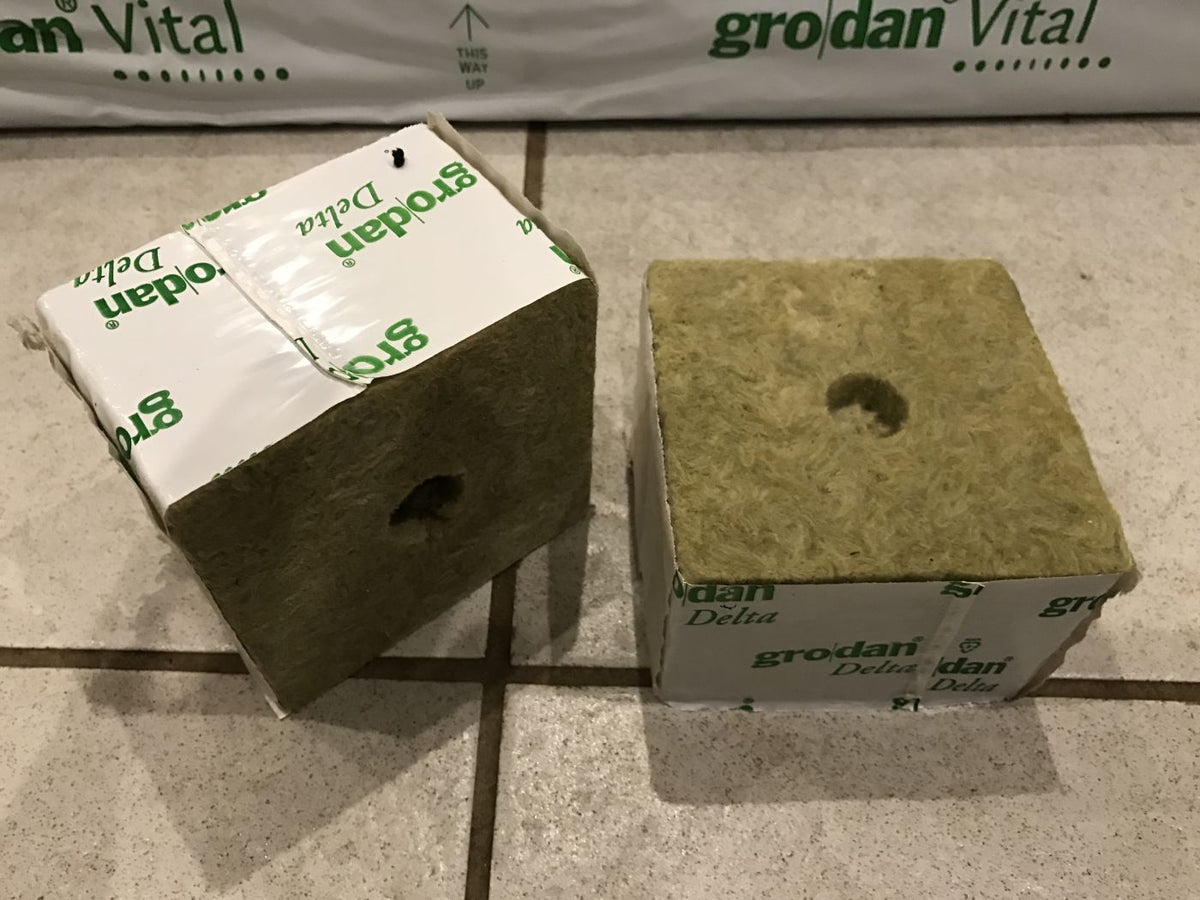 Grodan Delta 'Planteklods'