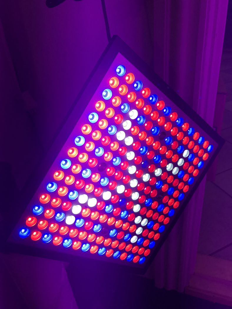 LED Vækstpanel X45 - 36W
