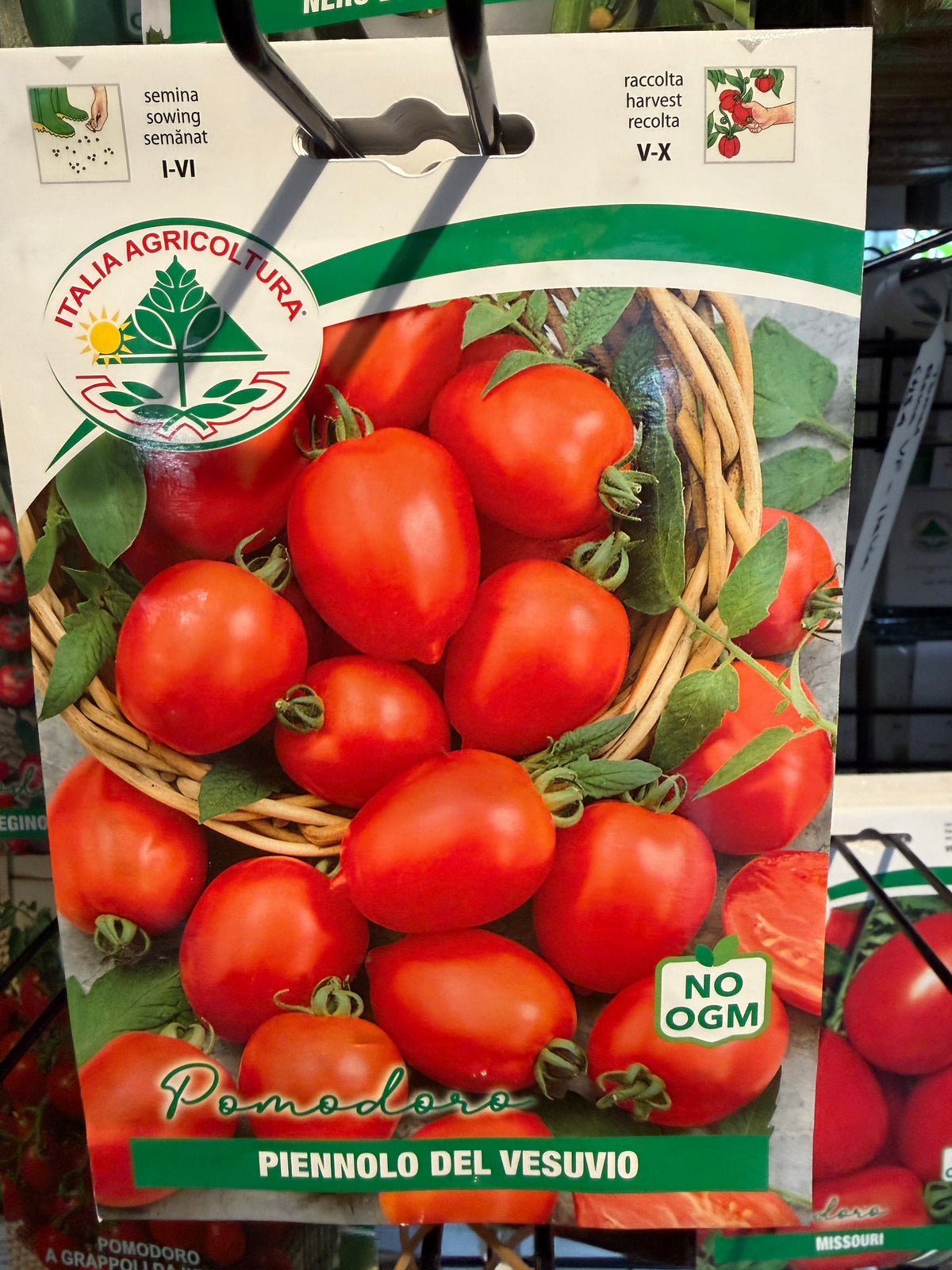 Pomodoro Piennolo del Vesuvio - Italia