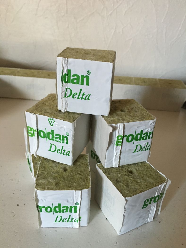 Grodan klodser 4x4 cm - originale