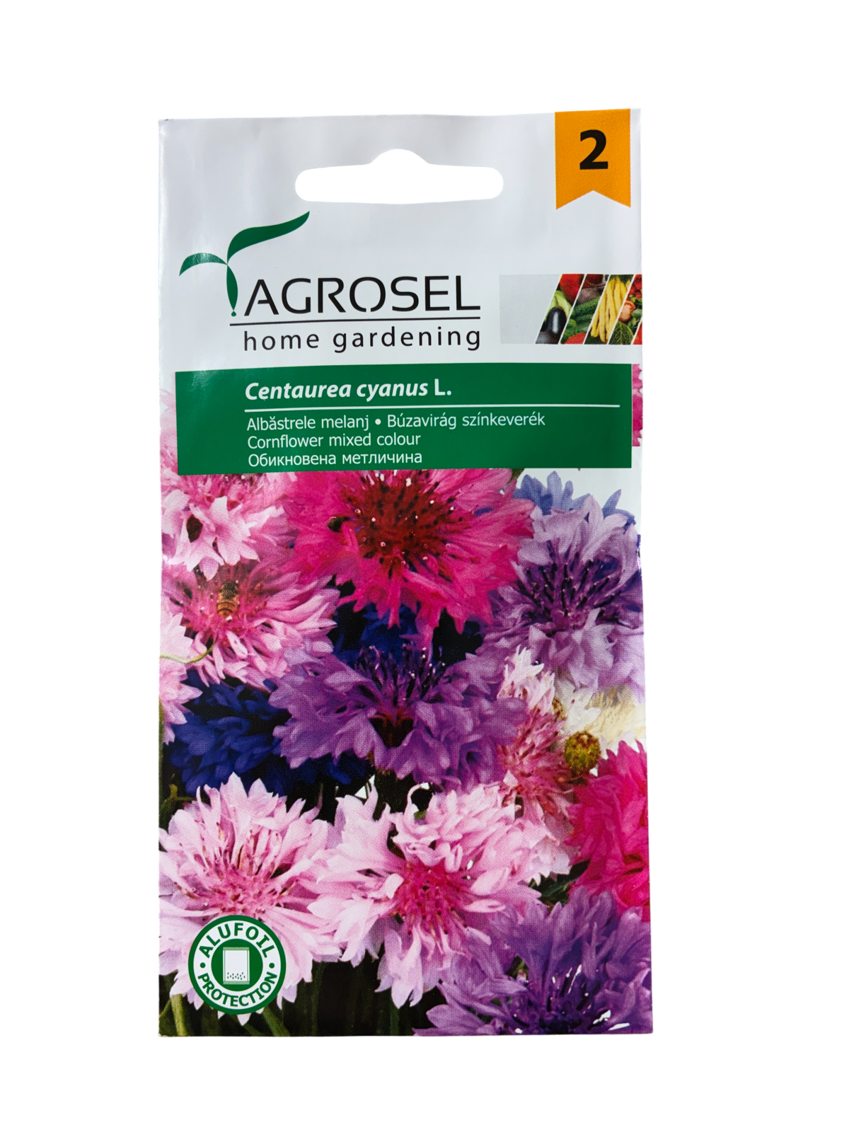 Kornblomst - Centaurea Cyanus L. - PG2