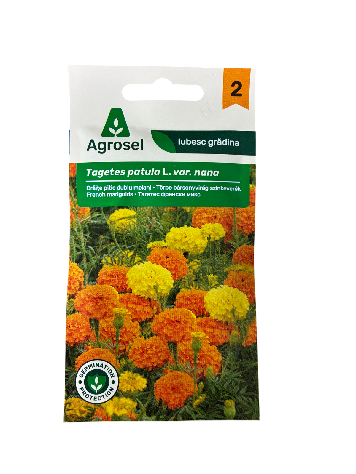 Dværg Tagetes - Tagetes patula L var. nana - pg 2