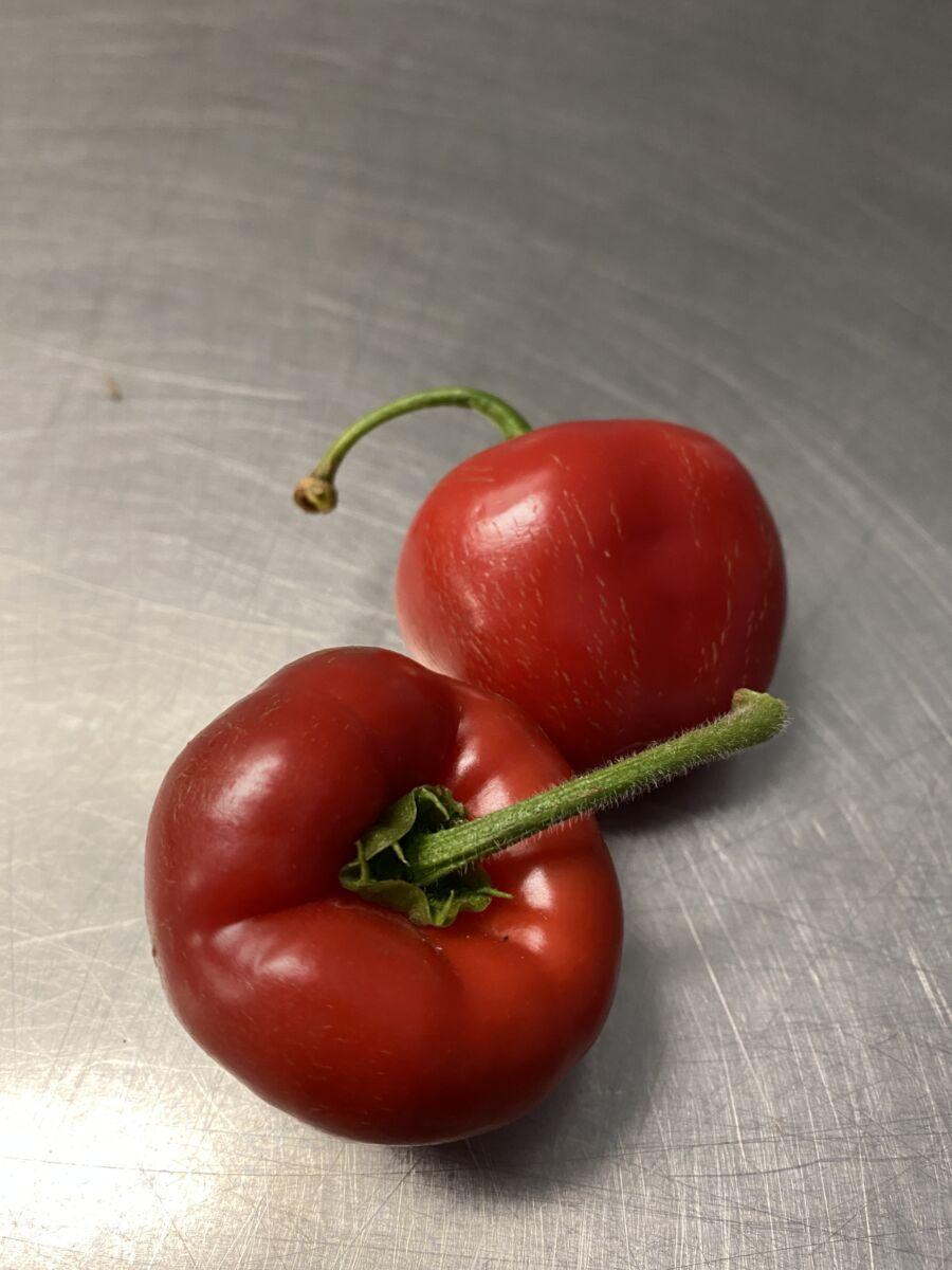 Rocoto mix - Friske chili