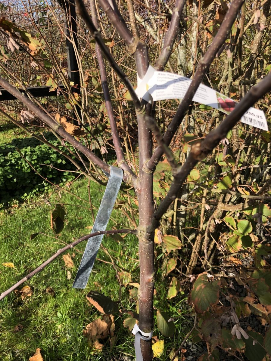 Gravørmaskine + planteskilte