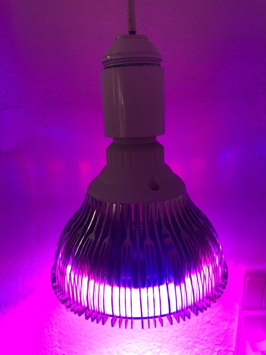 54W ProPlantS  PAR38 - spire- og vækst Lampe