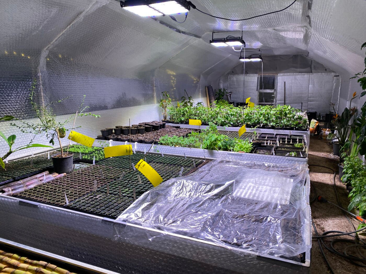 LedLife GX8 series - Grolys