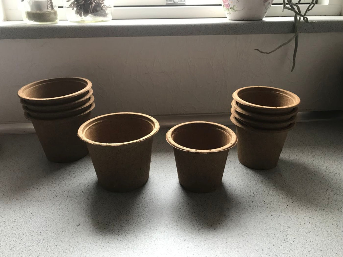 Potte i Træfiber - 12 cm