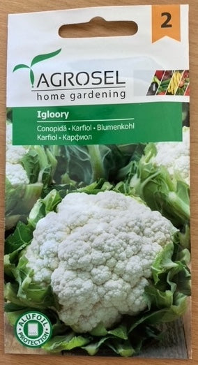 Blomkål - Igloory - mellem pk.