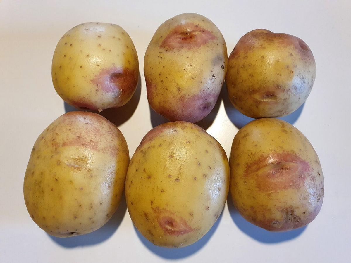 Bondens Bedste – KING EDWARD 1,5 KG