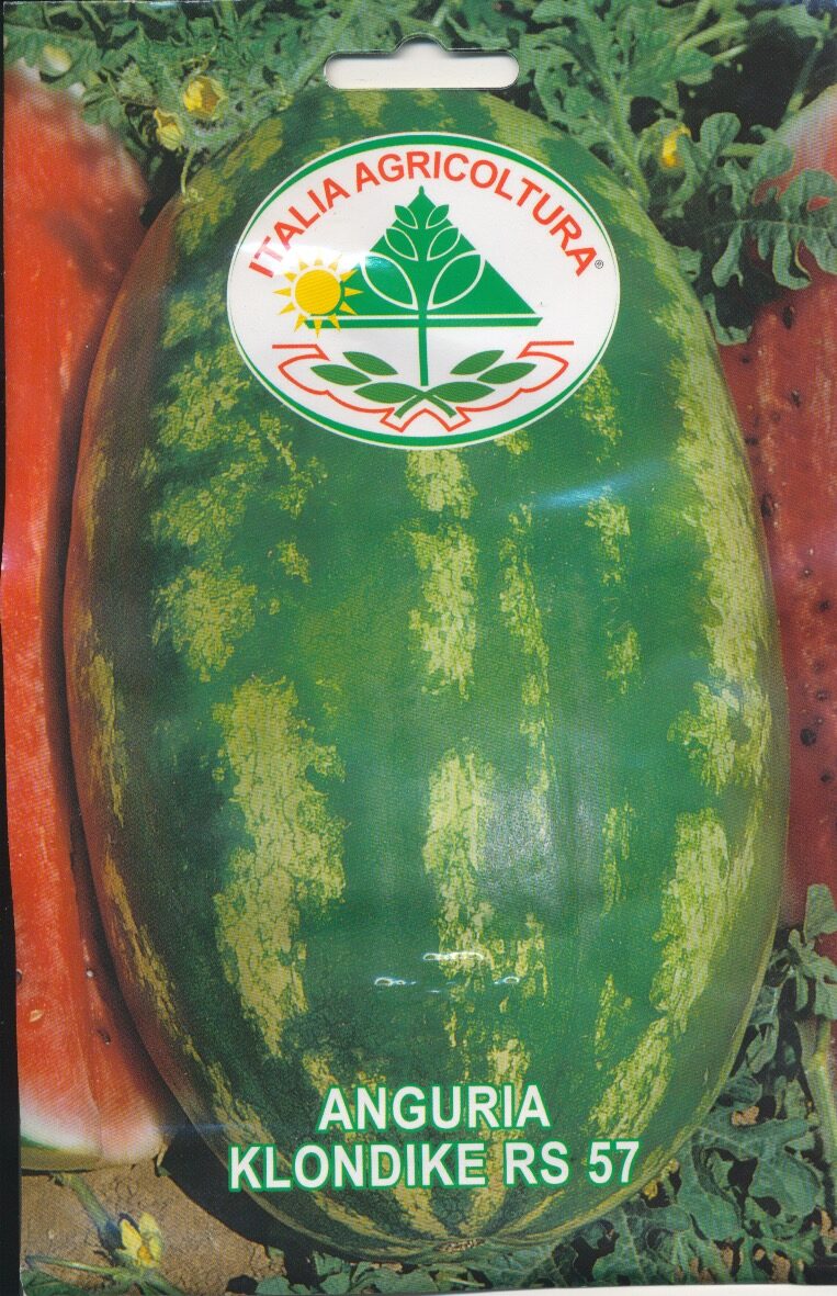 Melon, vand - Klondike RS 57