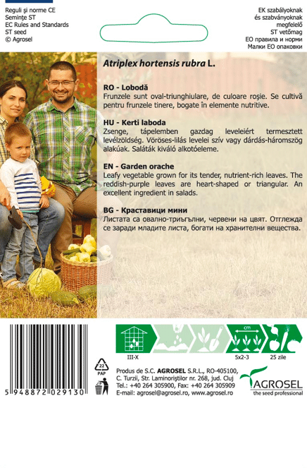 Havesyre - Blodmælde -  Garden Orache – Baby Leaf - PG8
