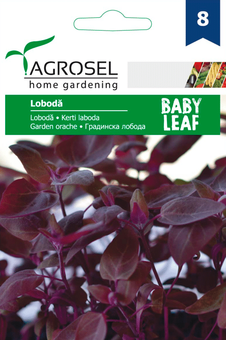 Havesyre - Blodmælde -  Garden Orache – Baby Leaf - PG8