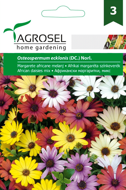 Spansk Marguerit - Osteospermum ecklonis (DC.) Norl. - PG3