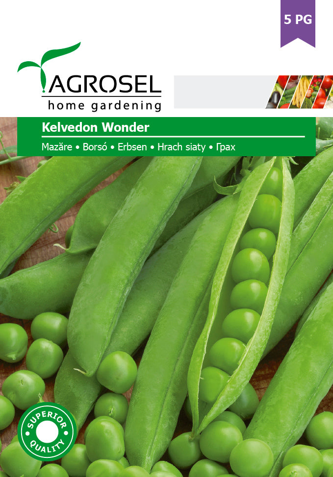 Ært - Kelvedon Wonder - BIG PACK