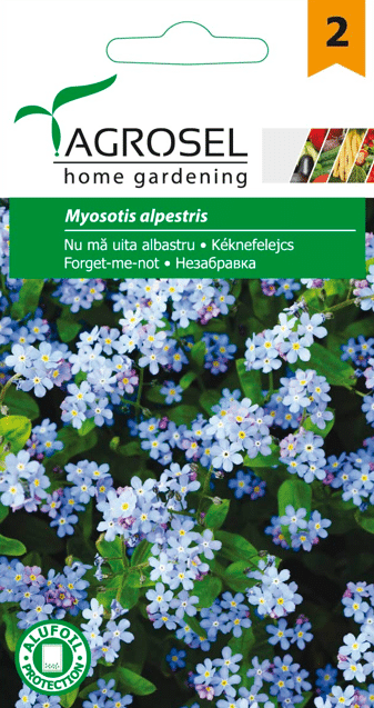 Forglemmigej - Myosotis alpestris - PG2