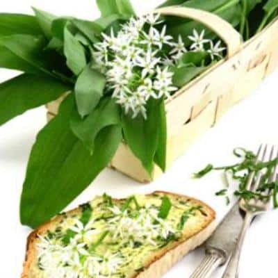 Spiselige blomster - Ny nordisk blanding