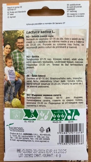 Salat - krussalat - Odagiu - PG2