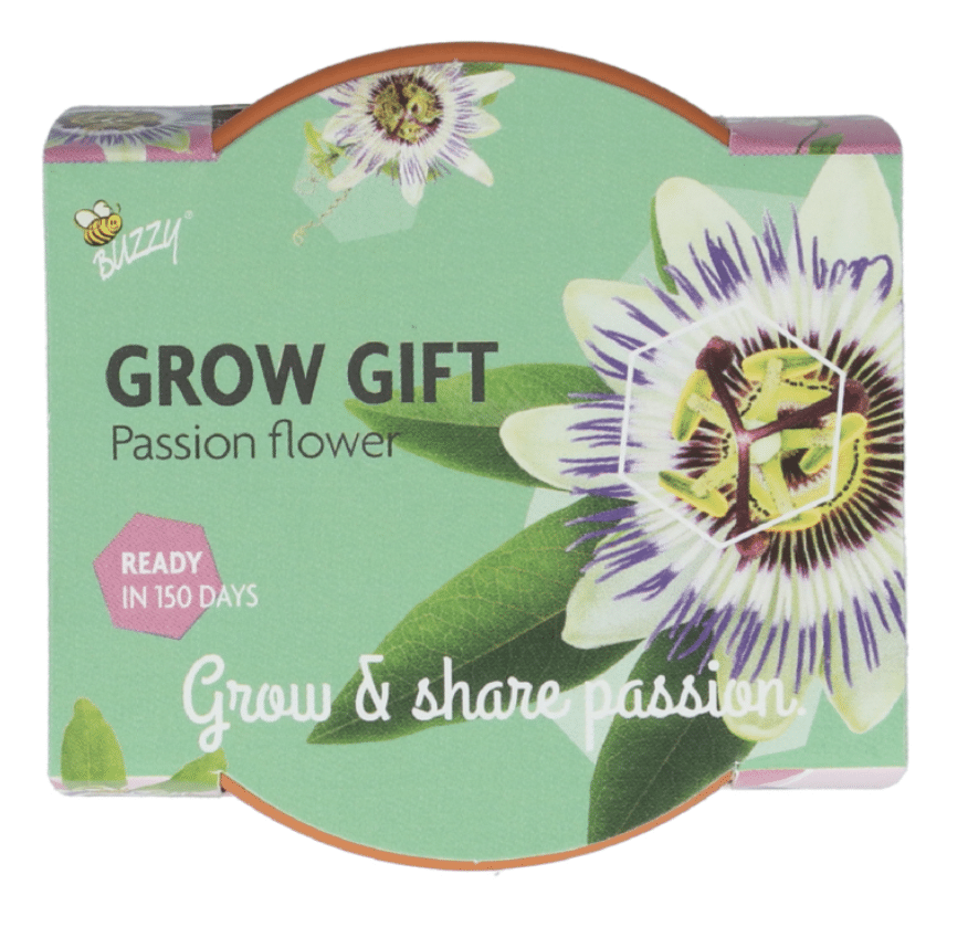 En gro gave - Passionsblomst