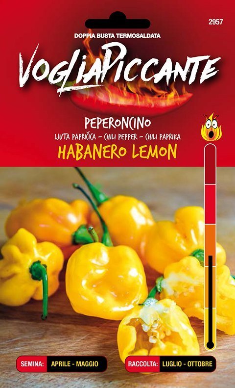 Habanero Lemon - C. chinense