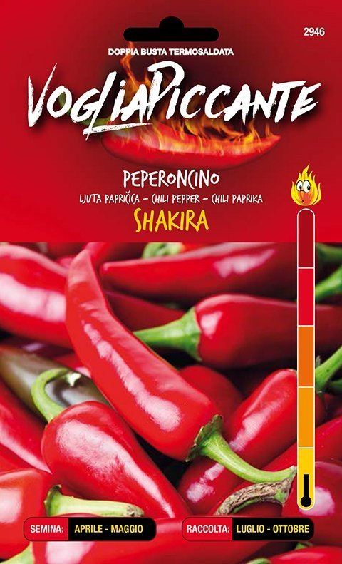 Shakira - C. annuum