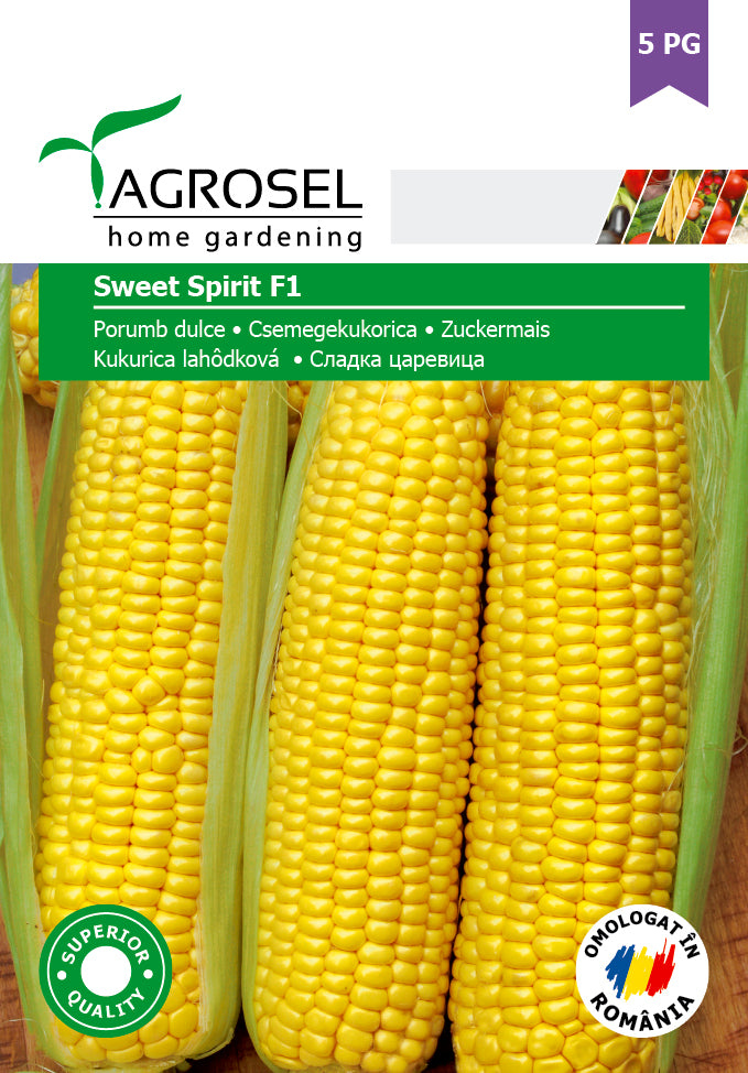 Sukkermajs - Sweet Spirit F1 - PG5