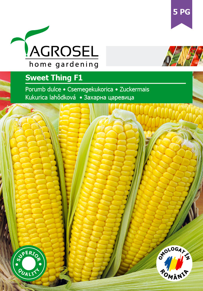Sukkermajs - Sweet Thing F1 - BIG PACK