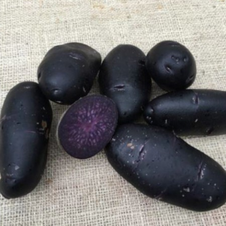 Bondens Bedste – PURPLE RAIN 1,5 KG