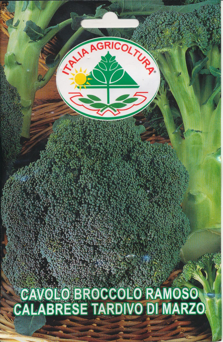 Kål, Broccoli - Ramoso Calabrese Tardivo Di Marzo