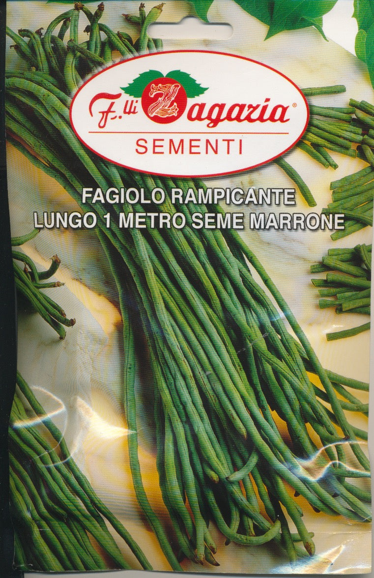 Bønne, Stang - Lungo 1 metro seme Marrone - 50 gram