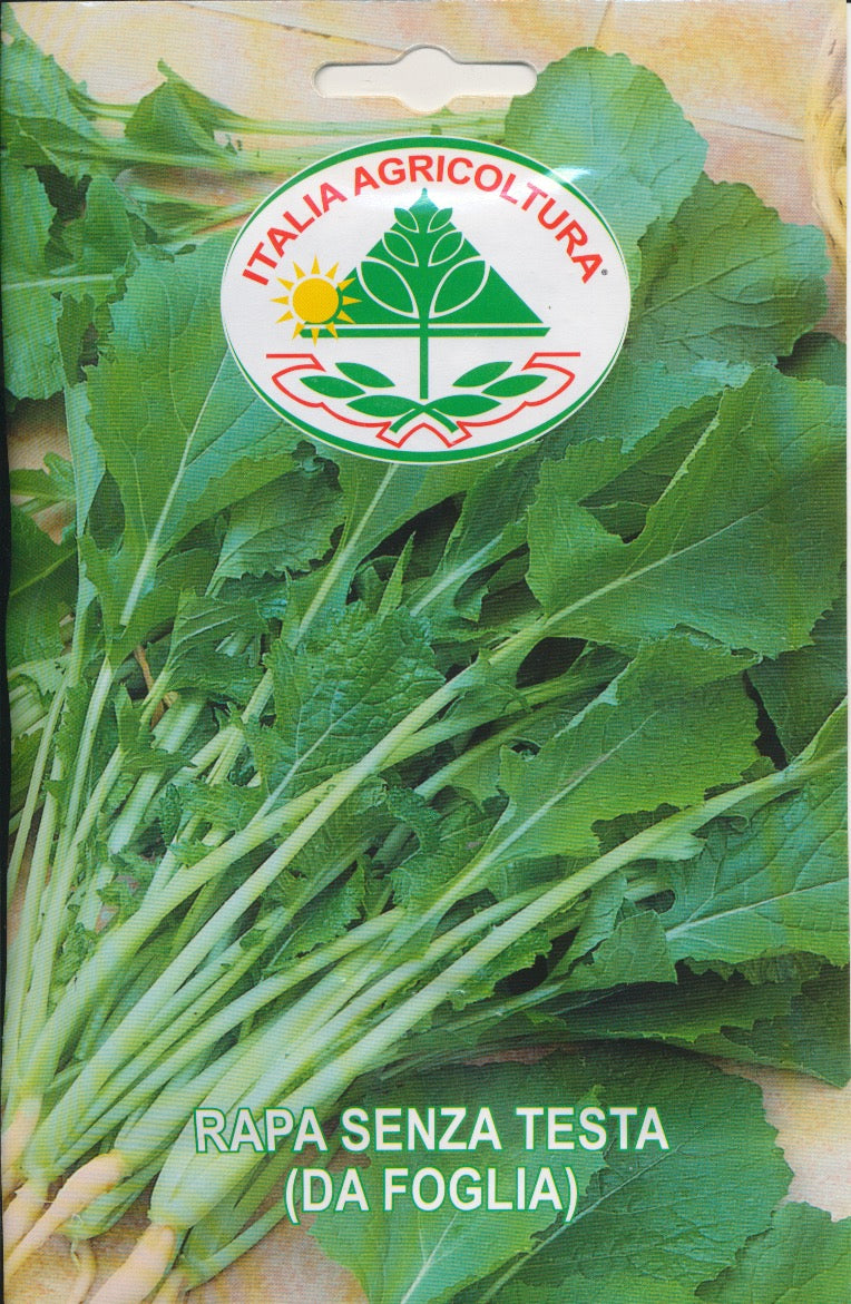 Rapa - Senza Testa (Da Foglia)