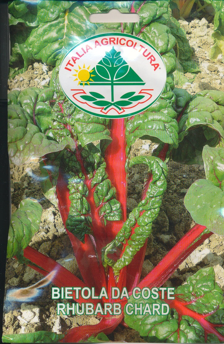 Bede, Blad - Rhubarb Chard