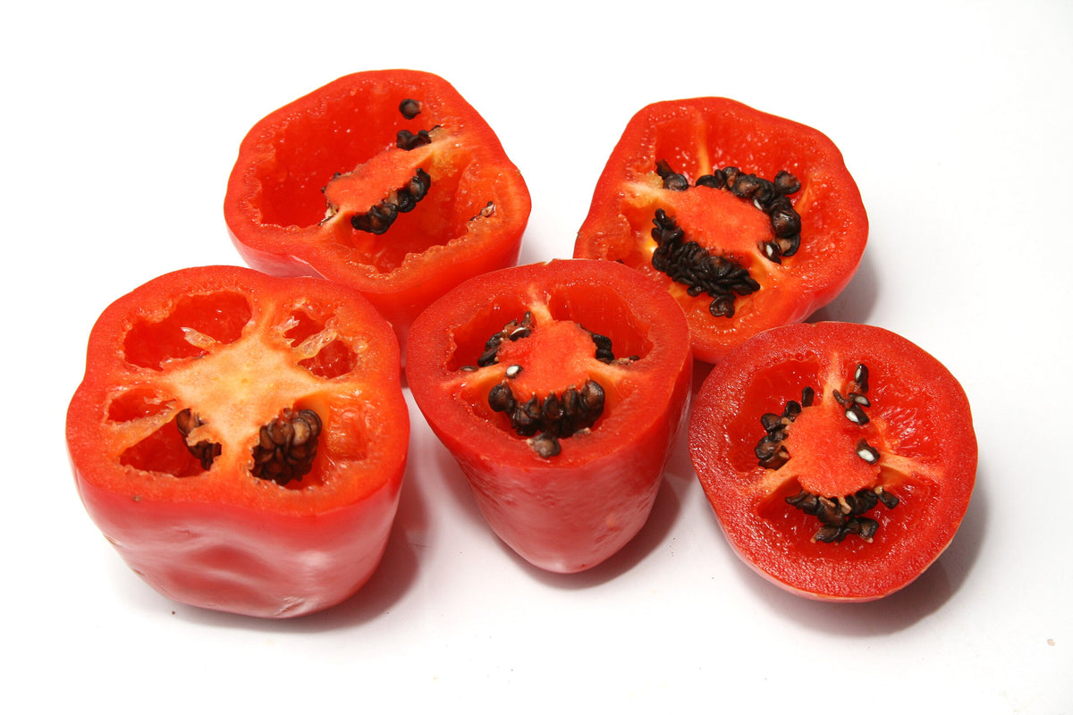 Rocoto Onore - C.Pubescens