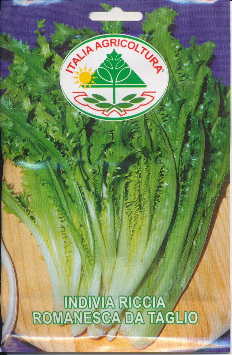 Salat, Kruset Endivie - Romanesca Da Taglio