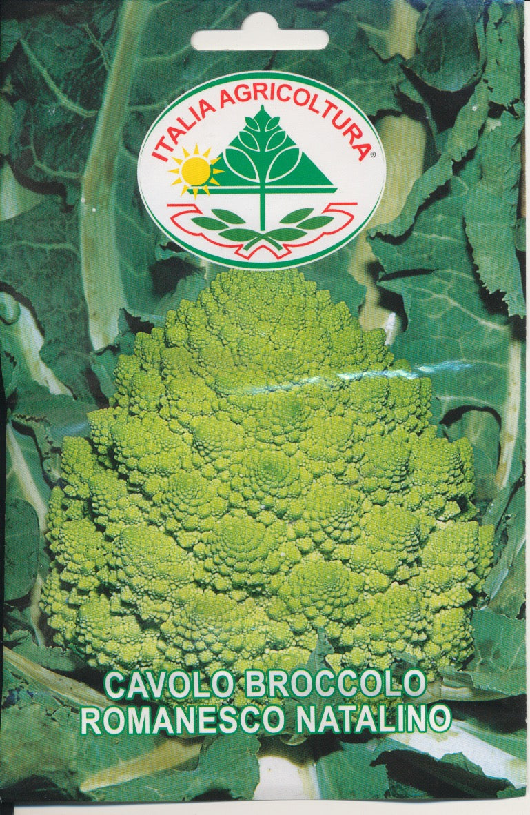 Kål, Romanesco - Romanesco Natalino
