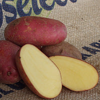 Spisekartoffel - Rød  Raja 1,5 Kg