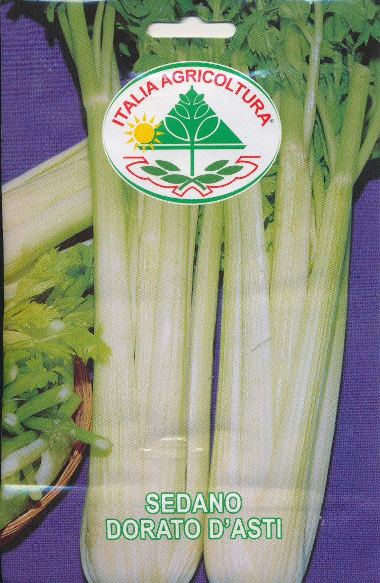 Selleri, blad - Dorato D'Asti