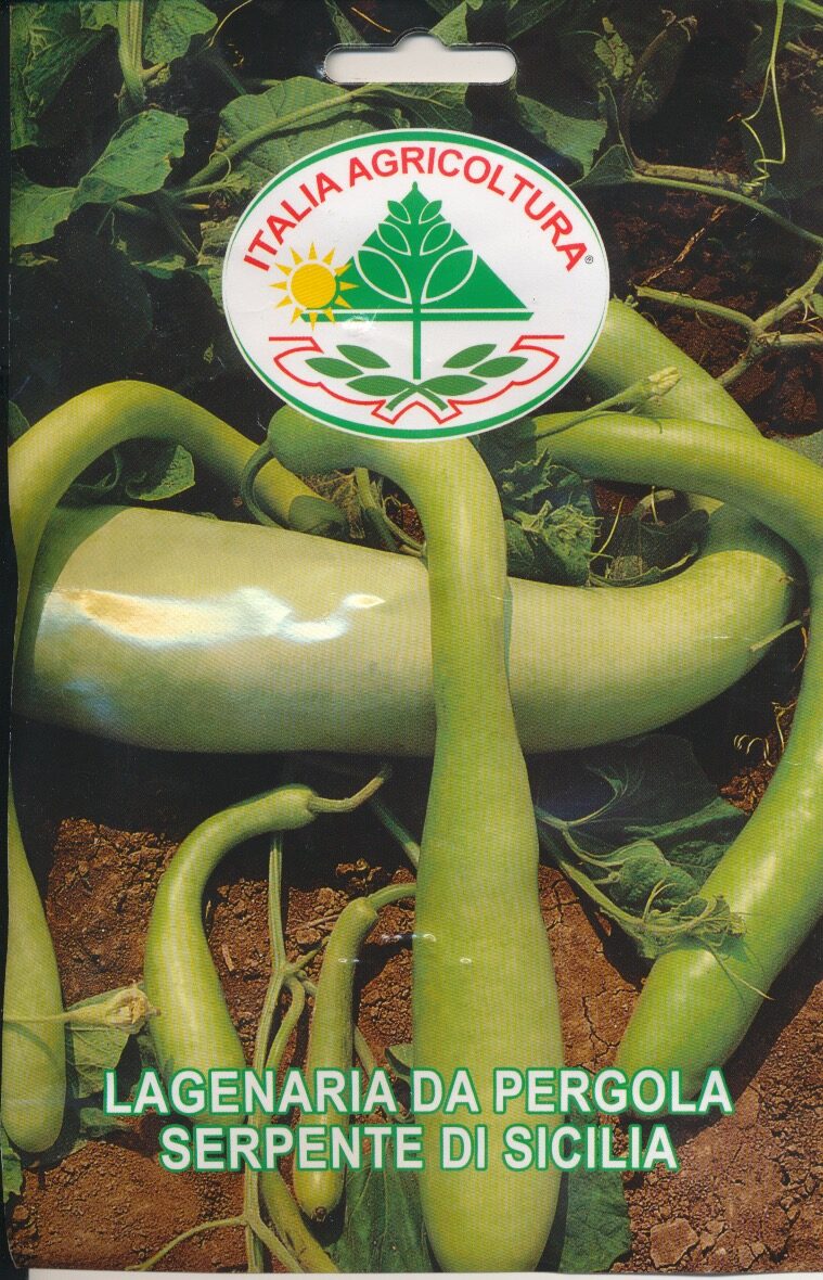 Græskar, Flaske - Serpente di Sicilia