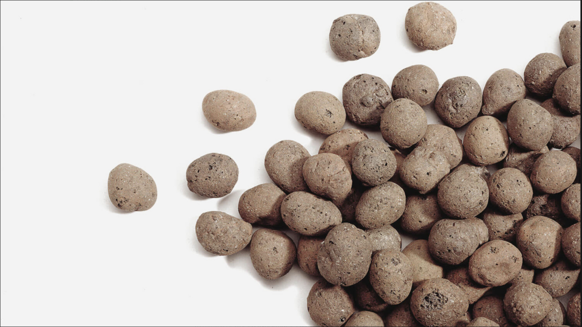 LECA® FLORA 10-20mm