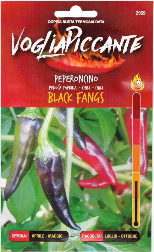 Black Fangs - C.annuum