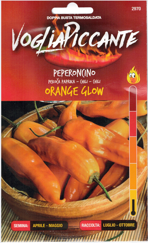 Orange Glow - C.baccatum
