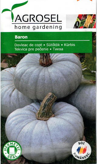 Græskar - Baron - PG2