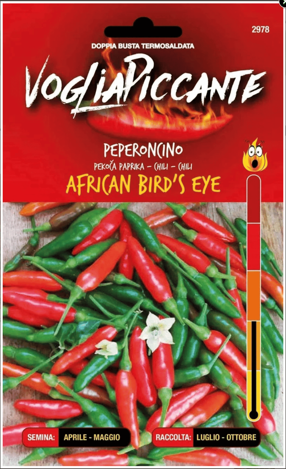 African Birds Eye - C. frutescens