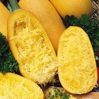 Spaghetti Squash