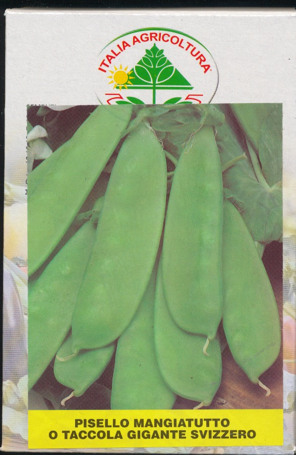 Ært, sukker - Mangiatutto o Taccola Gigante Svizzero - 500 Gram